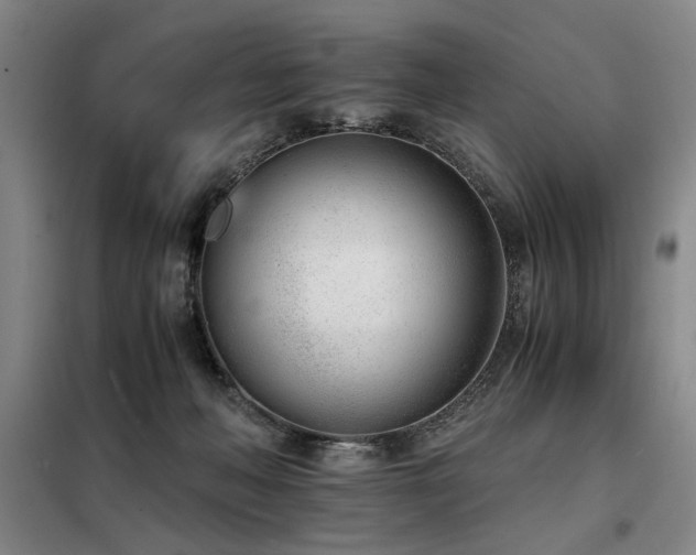 X0000098140222200804171555
