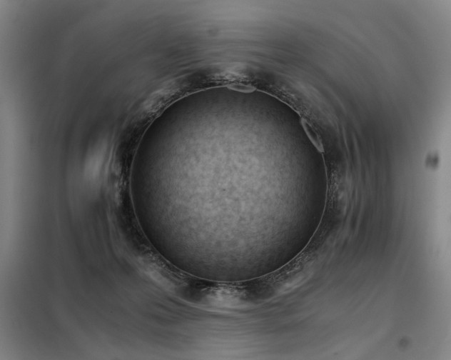 X0000098140223200804171555