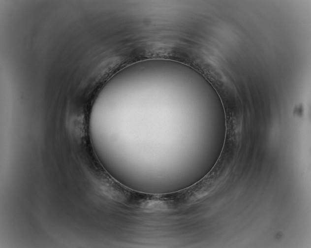 X0000098140224200804171555
