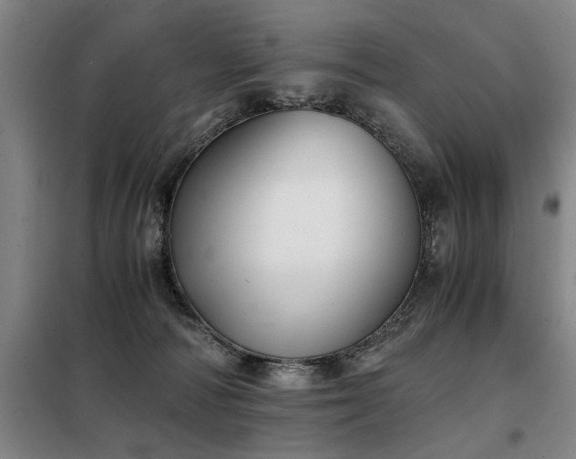 X0000098140226200804171555