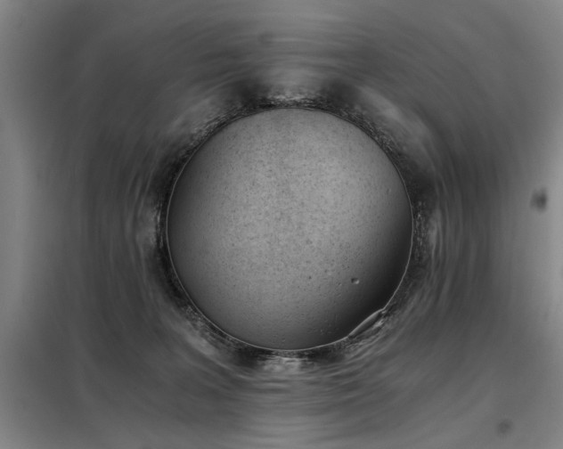 X0000098140227200804171555