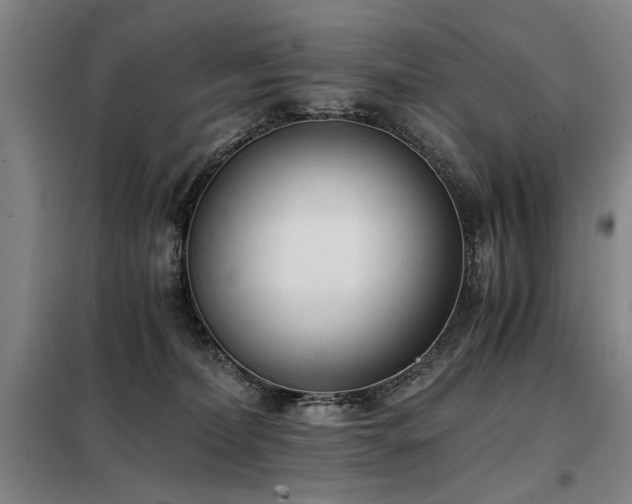 X0000098140228200804171555