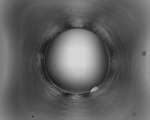 X0000098140229200804171555