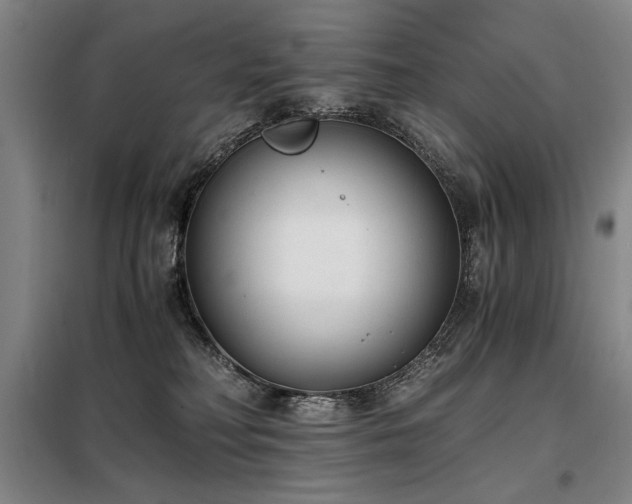 X0000098140230200804171555