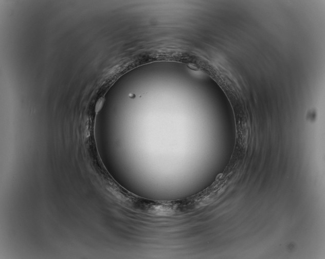 X0000098140232200804171555