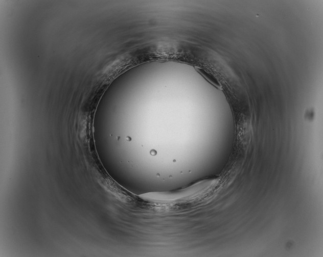 X0000098140233200804171555
