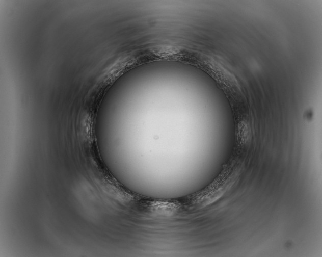 X0000098140234200804171555