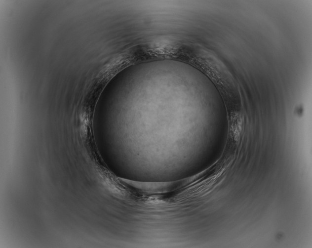 X0000098140235200804171555