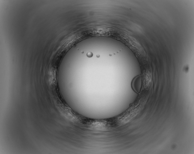 X0000098140236200804171555
