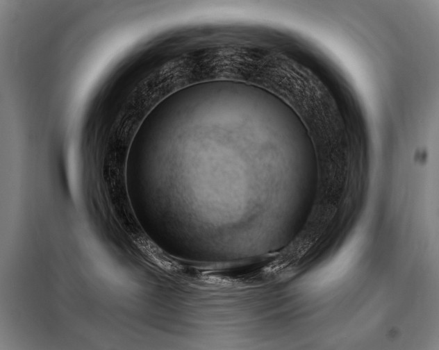 X0000098140239200804171555