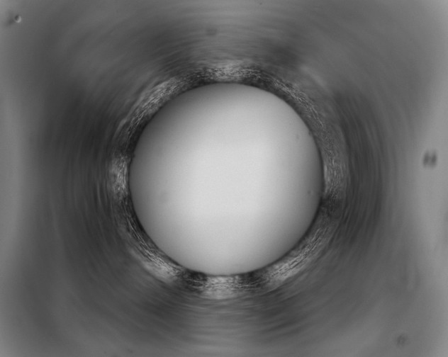 X0000098140240200804171555
