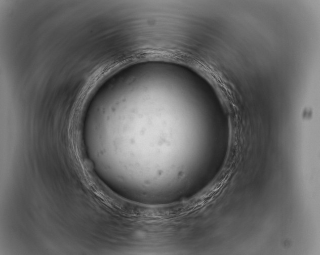 X0000098140241200804171554