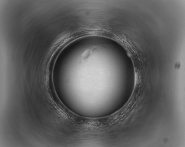 X0000098140243200804171554