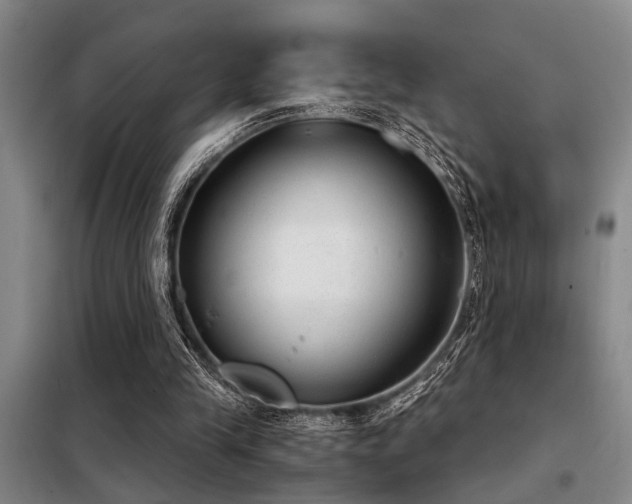 X0000098140245200804171554