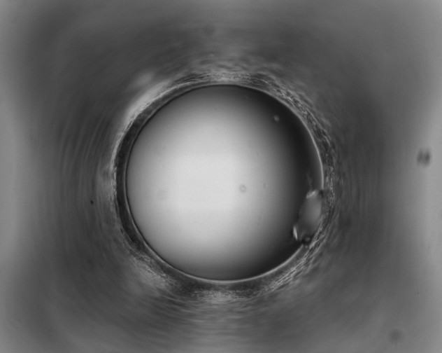 X0000098140246200804171554