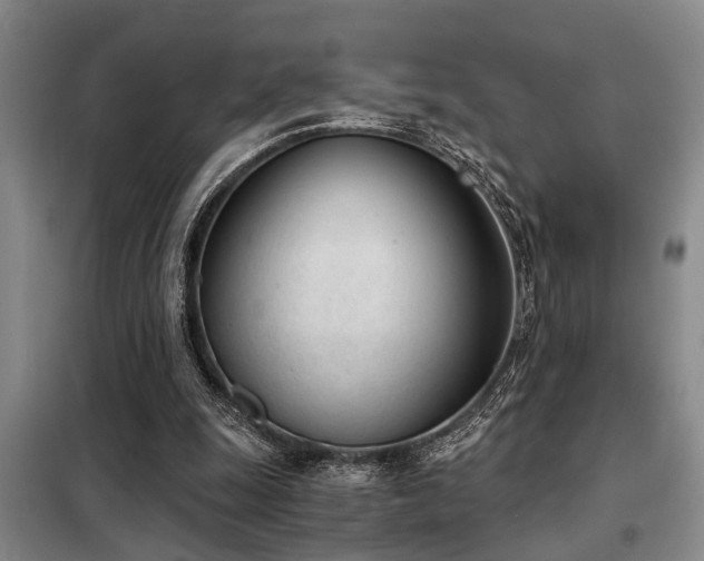 X0000098140247200804171554