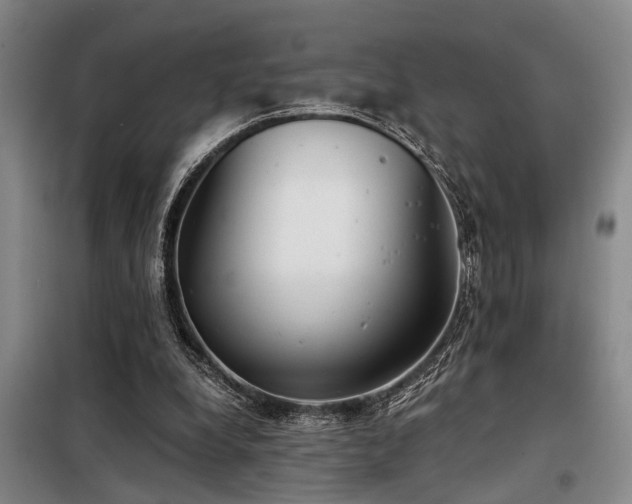 X0000098140248200804171554