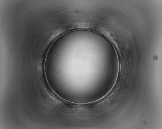 X0000098140249200804171554