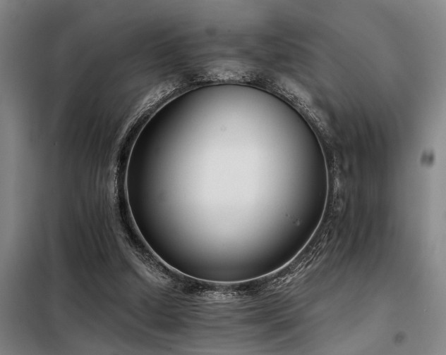 X0000098140250200804171554