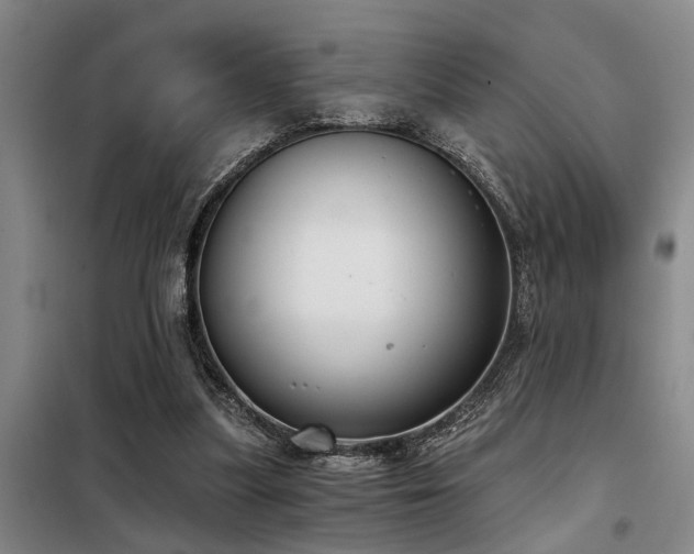 X0000098140251200804171554