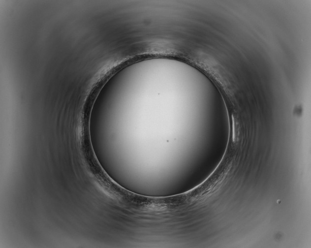 X0000098140252200804171554