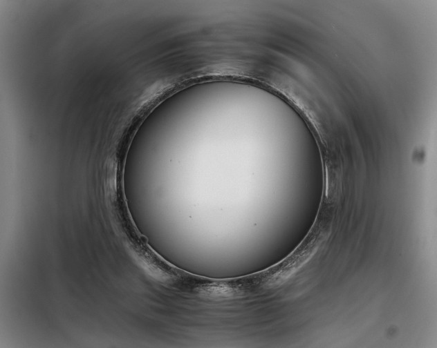 X0000098140253200804171554