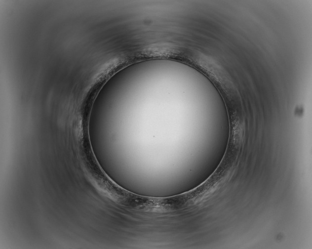 X0000098140254200804171554