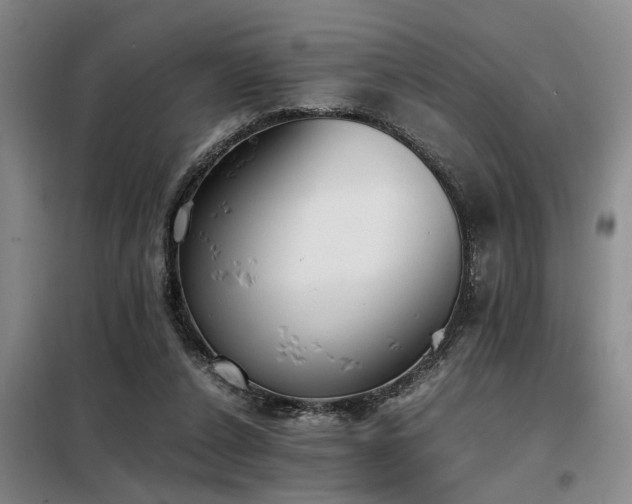 X0000098140256200804171554