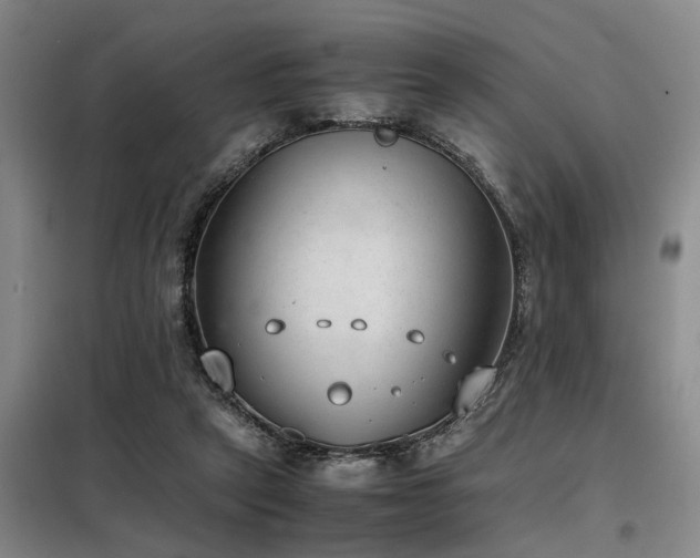 X0000098140257200804171554