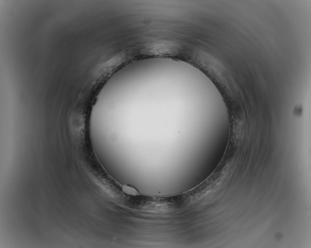 X0000098140260200804171554