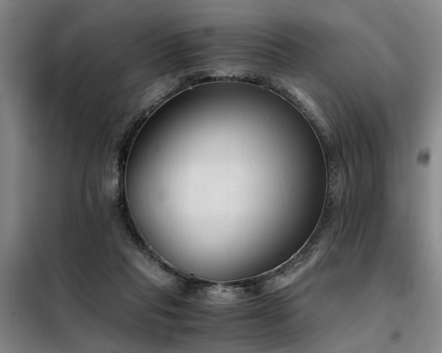 X0000098140261200804171554