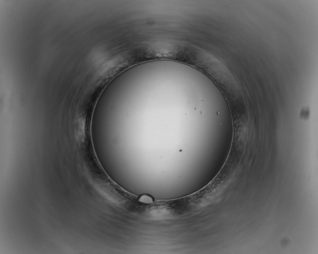 X0000098140262200804171554