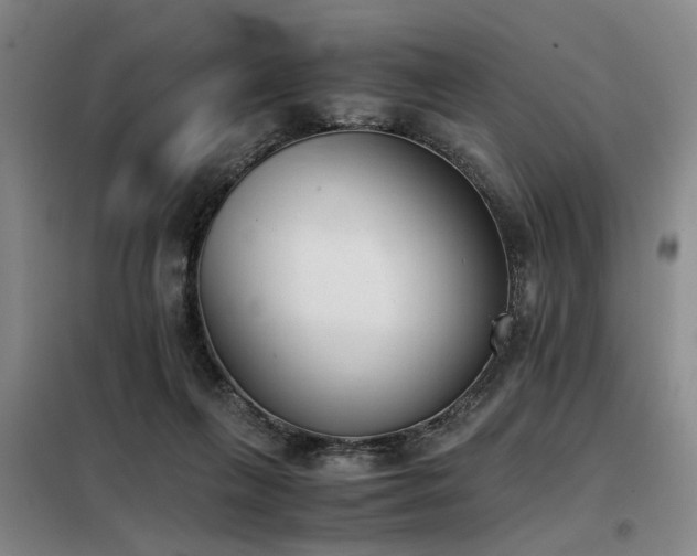 X0000098140263200804171554