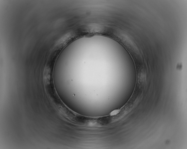 X0000098140264200804171554