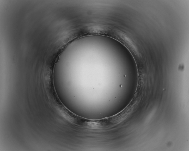 X0000098140265200804171554