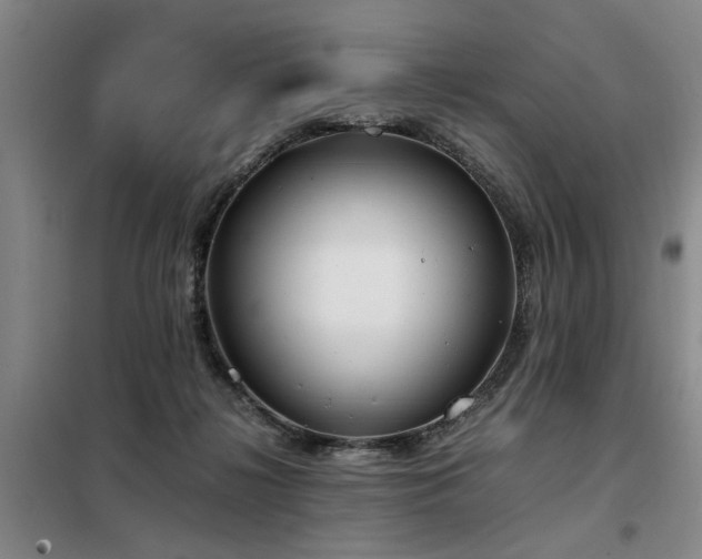 X0000098140268200804171554