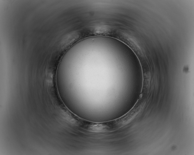 X0000098140269200804171554