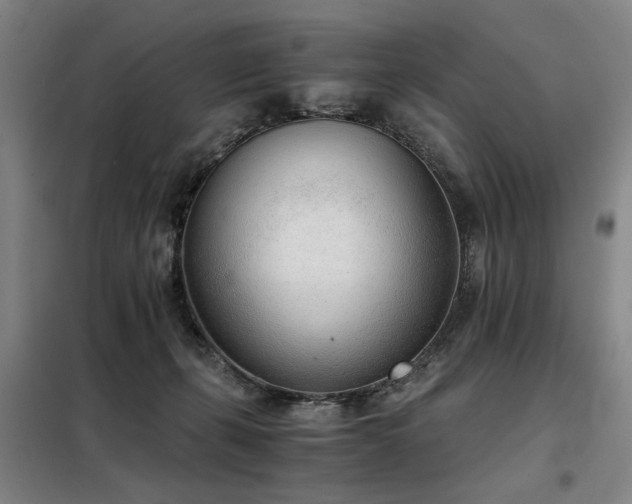 X0000098140271200804171554