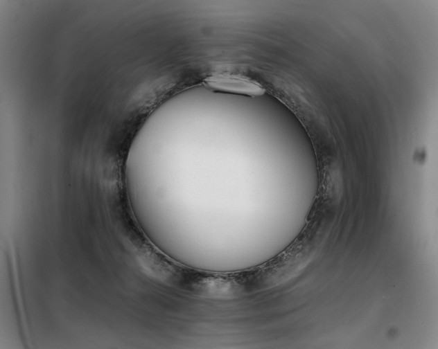 X0000098140272200804171554