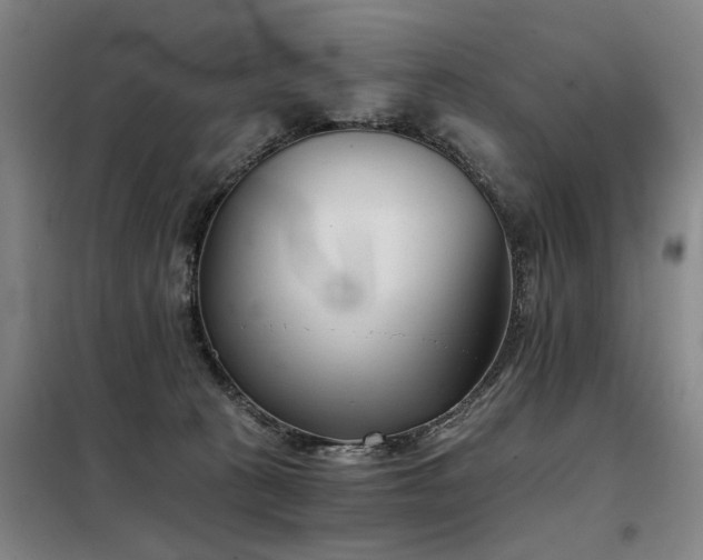 X0000098140273200804171554