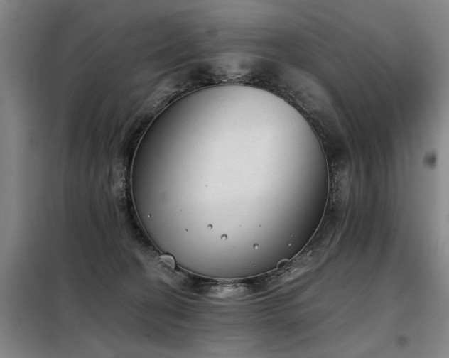 X0000098140274200804171555