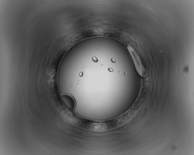 X0000098140275200804171555