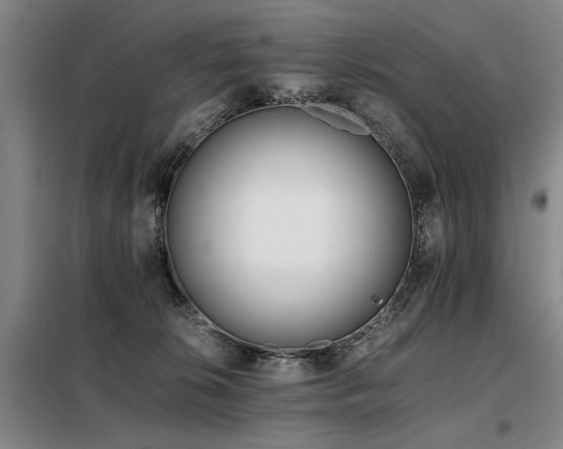 X0000098140276200804171555