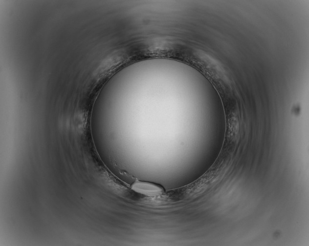 X0000098140278200804171555