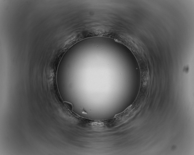 X0000098140279200804171555