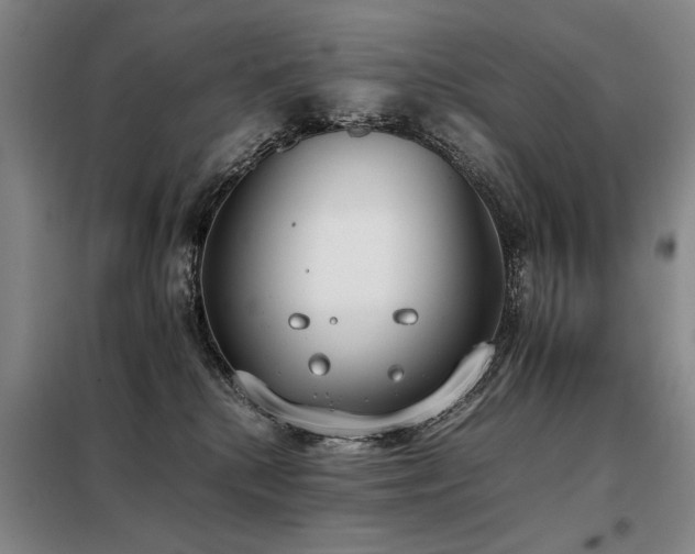 X0000098140280200804171555
