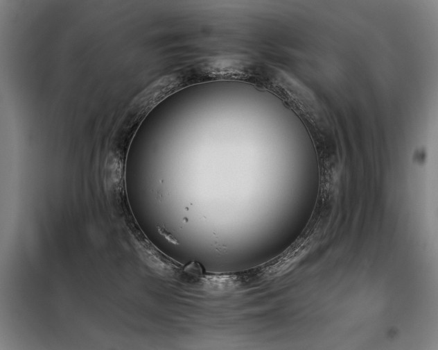X0000098140281200804171555