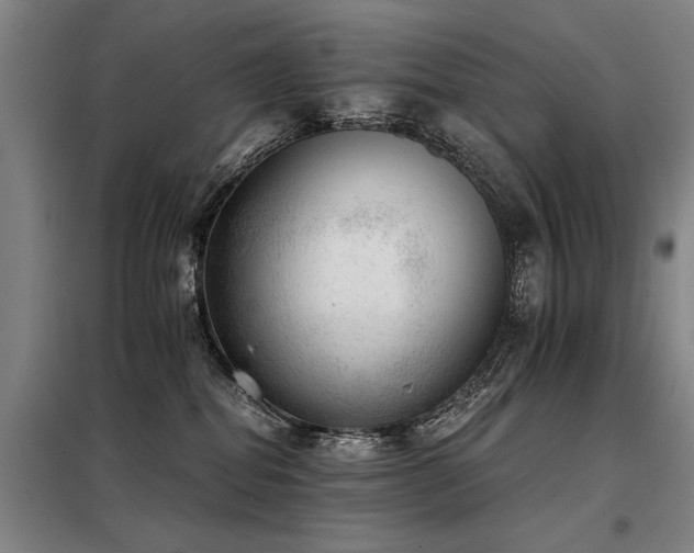 X0000098140282200804171555