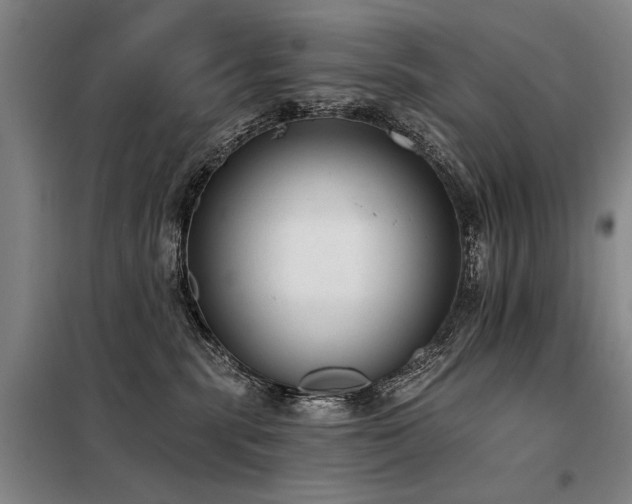 X0000098140283200804171555