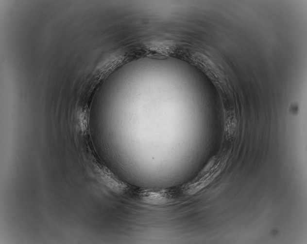 X0000098140285200804171555
